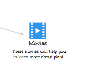 Movies