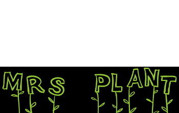 Mrs. Plant